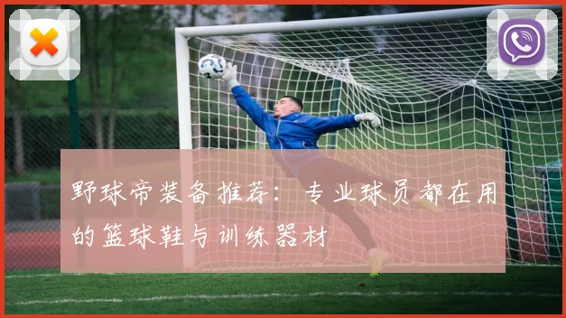 野球帝装备推荐：专业球员都在用的篮球鞋与训练器材