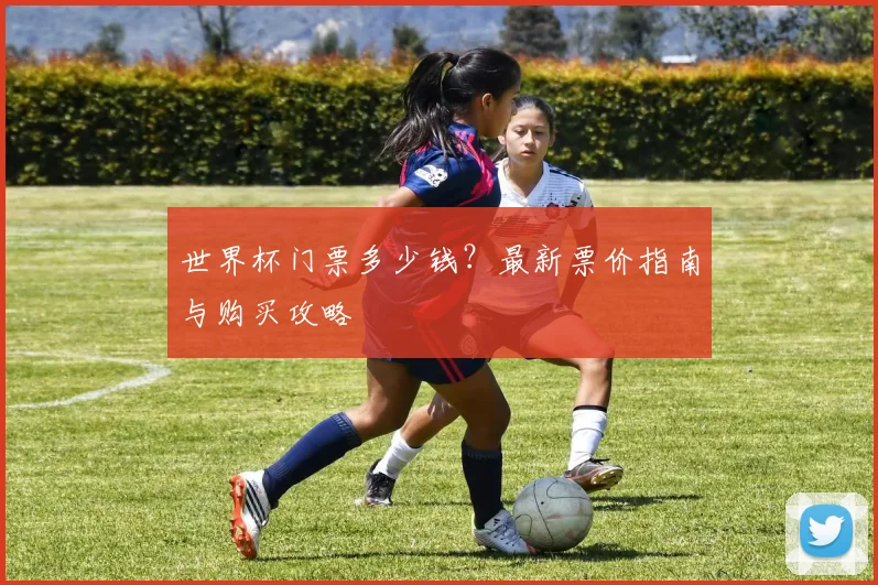 世界杯门票多少钱？最新票价指南与购买攻略